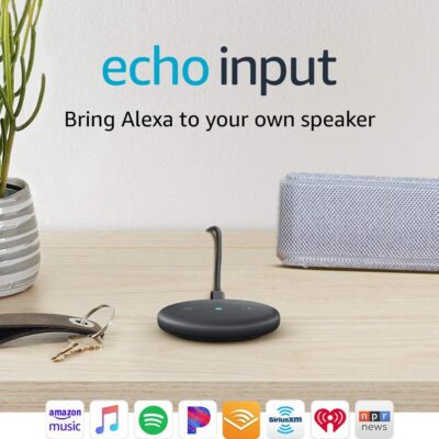 Amazon Alexa Echo Input for Any Speaker