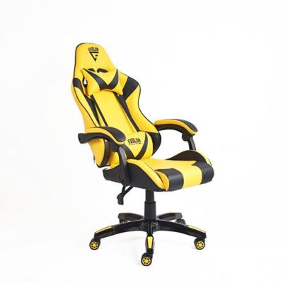 EVOLUR Gaming Chair For Gamers And Tech YouTubers (LD001)